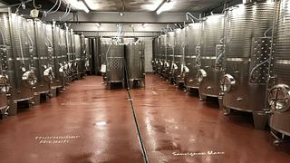 Weingut Gebr. Ludwig