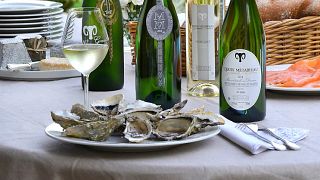 Visita y degustación en Domaine du Grand Mouton