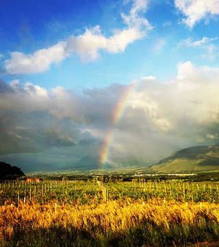 Noble Hill Wine Estate