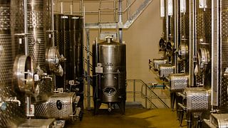Waverley Hills Organic Wine Farm