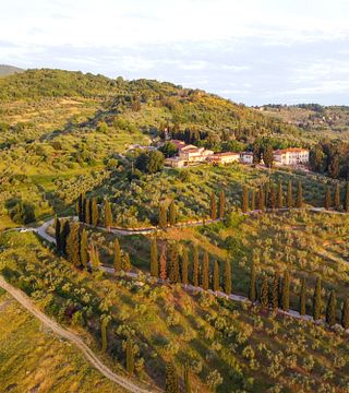 Cellar Wine Tour at Tenuta Di Capezzana