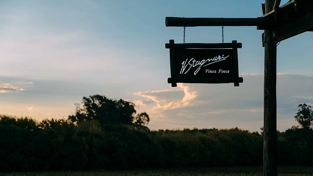 Dégustation et visite de vins chez H.Stagnari