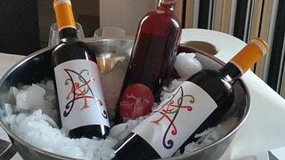 Cellers Capafons Osso S.L