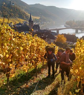 Weingut Selbach-Oster