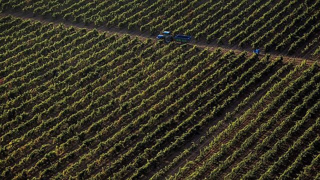 Rioja Vineyard Tour & Tasting at Bárbara Palacios
