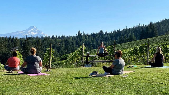 Phelps Creek Vineyards