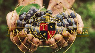 Dégustation de vins et visite à Tenuta Vignega