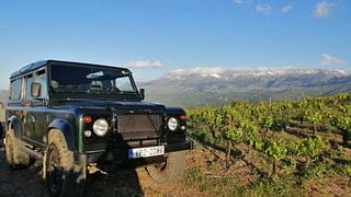 Private Exclusive Manousakis Winery and Vineyard Tour