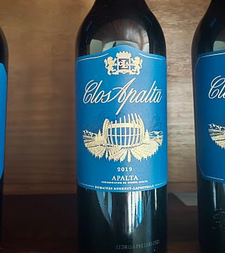 Chile, the complete Wine Region tour: Colchagua, Casablanca, Maipo and Los Andes