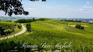 La Patareina Winery