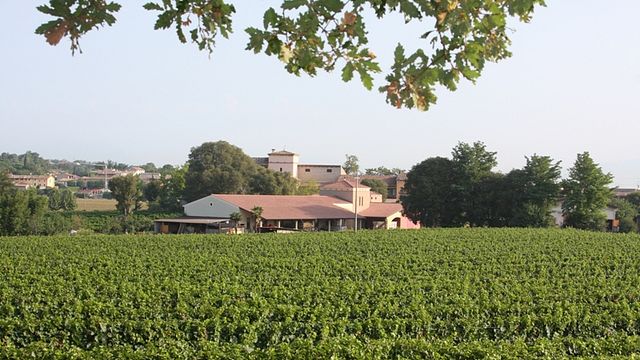 Cantina Gozzi