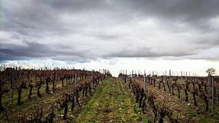 Catalonia's Garriguella: Wine, History & Art Tour
