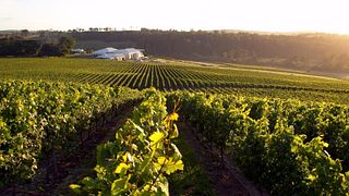 House of Arras: Tasmania's Sparkling Gem
