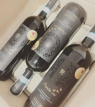 Degustação de vinhos e tour na Azienda Agricola Rinaldi Vini
