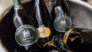 Dégustation de vins et visite à Tenuta 2Castelli
