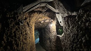 Visita guidata alle Bodegas JF Iradier