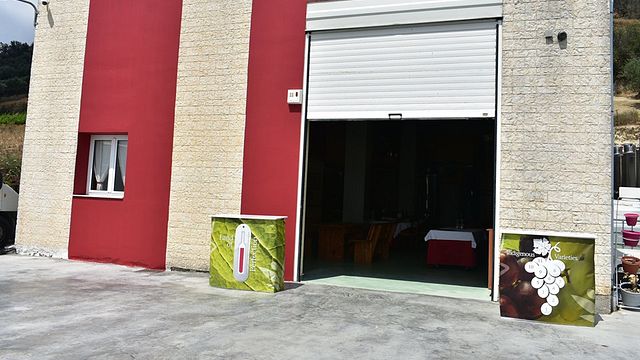 Cata de vinos y visita a la Bodega Efrosini