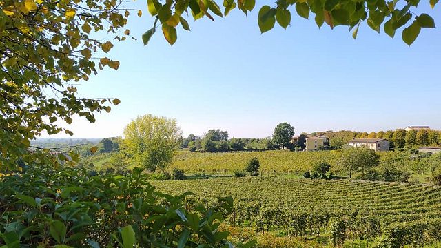 Peri Bigogno Winery