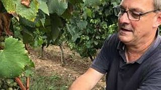 Degustazione di vini e tour a Vignobles Didier Pelvillain