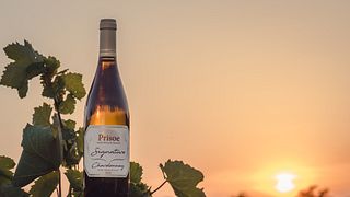 Prisoe Winery