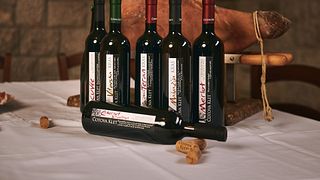 Dégustation de vins et visite à Čotova Klet