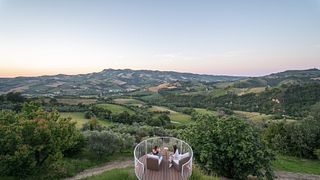 Tenuta Cocci Grifoni: A Family Winery in Marche