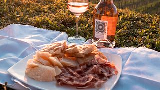 Weinprobe und Tour im Perla Del Garda