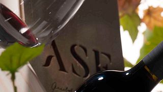 Cata de vinos y visita guiada a la Bodega Fernão Pó - ASF Wines