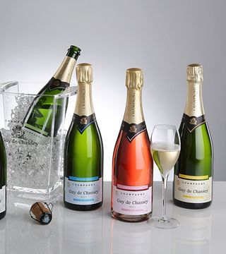 Champagne Tasting and Tour at Champagne Guy de Chassey