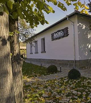 Visite de cave et dégustation de vin à Yalovo Winery