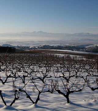 Bodegas Señorío de Líbano: A Gem in Rioja