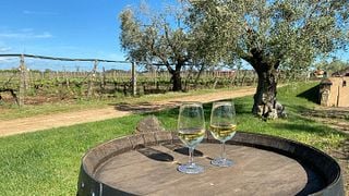 Azienda Vitivinicola Etruscaia