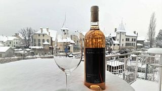 Test Winery: Momish - A Taste of Calabria