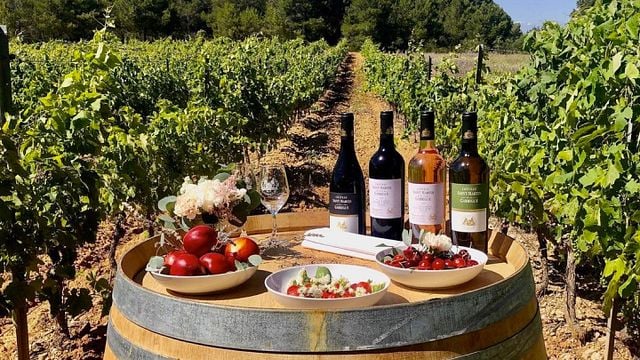 Wine tasting at Château Saint Martin de la Garrigue