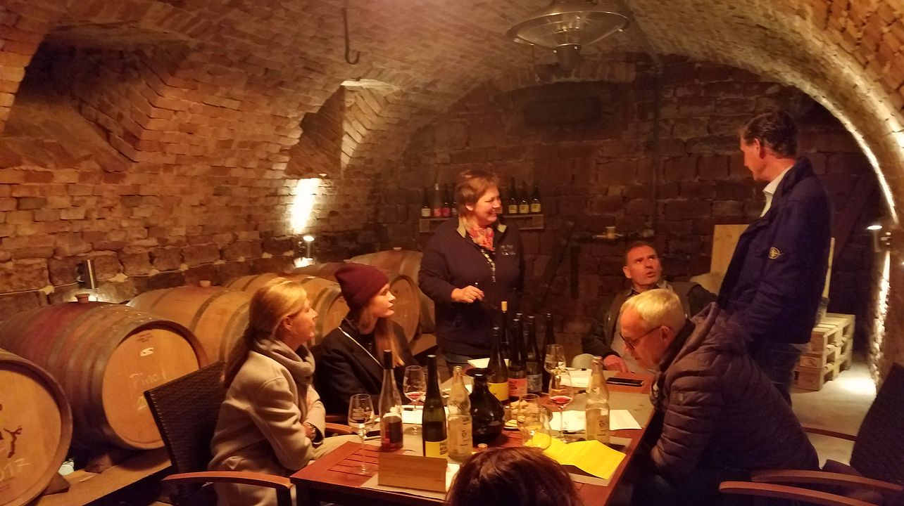 Passeio de vinhos de Pfalz