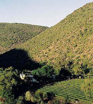 Peter Bayly Wines