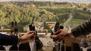 Dégustation et visite de vins chez Furlan Vini