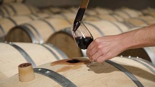 Cata de vinos y visita al Château Delacour