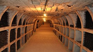 Recorrido privado desde Chisinau a la bodega Milesti Mici con degustación