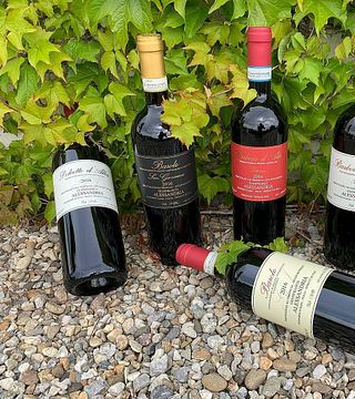Weinprobe und Tour bei Gianfranco Alessandria