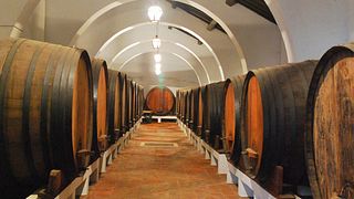 Cata de vinos en Sovibor - Sociedade De Vinhos De Borba