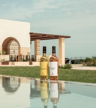Ficheto Wine Experience - Wine tasting paired with local products