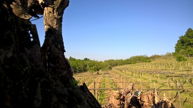 A experiência premium de Santa Clélia