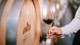 Master Class - Dégustation de vins – 7 vins au Château Mukhrani 
