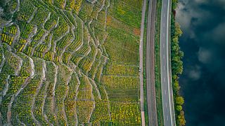 Cata de vinos en VDP Weingut Knebel