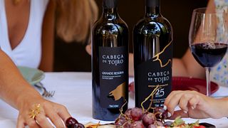 Tejo Wine & DOP Cheese Pairing Journey