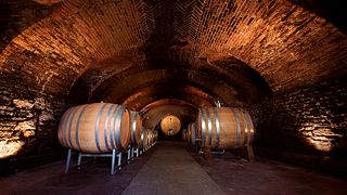Weinprobe und Tour bei Dacapo Cà Ed Balos