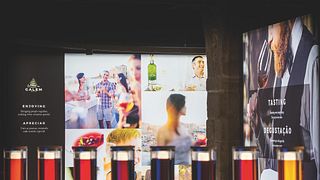 Degustazione di vini e visita alla cantina Cálem