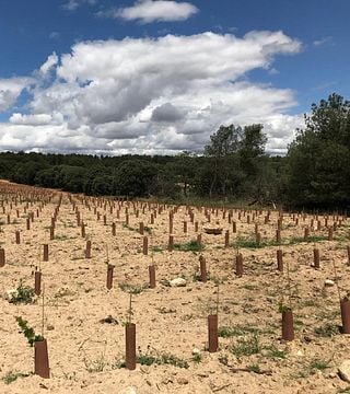 Degustazione di vini e tour al Territorio Liutaio