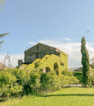 Esperienza di degustazione di vini nella Tenuta Muscamento a Fischetti